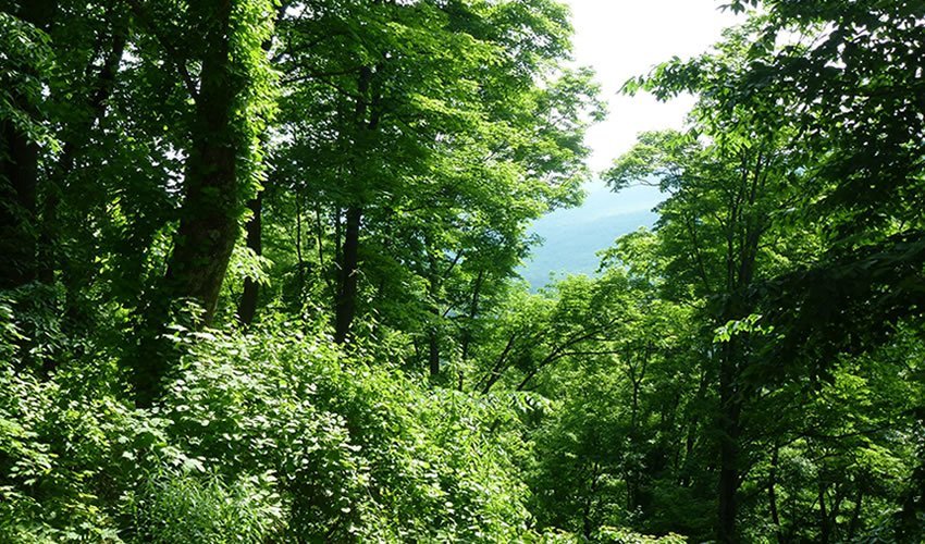 Climate Change Sensitisation