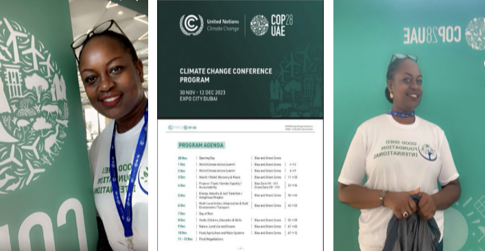 The Take-Home From COP28